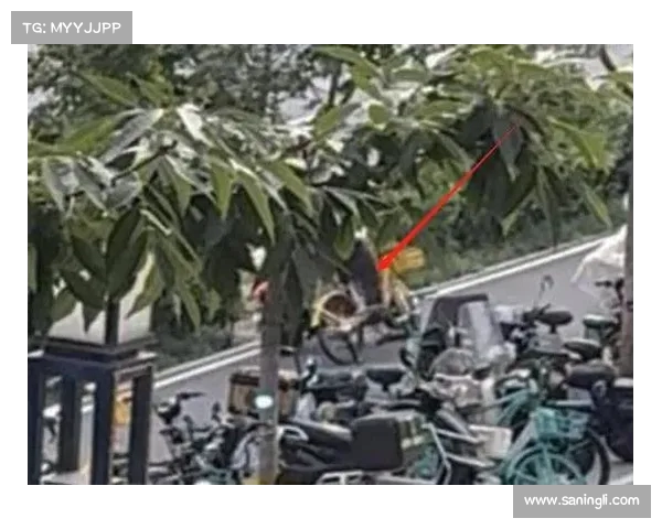 海口骑车女子意外撞石受伤获赔元 保险理赔引关注(海南海口撞车事件) 海口骑车女子意外撞石受伤获赔元 保险理赔引关注(海南海口撞车事件)