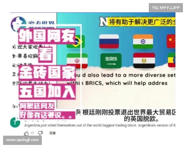 金砖十国决定暂停扩展,背后原因与未来影响分析(金砖十国是哪十国) 金砖十国决定暂停扩展,背后原因与未来影响分析(金砖十国是哪十国)